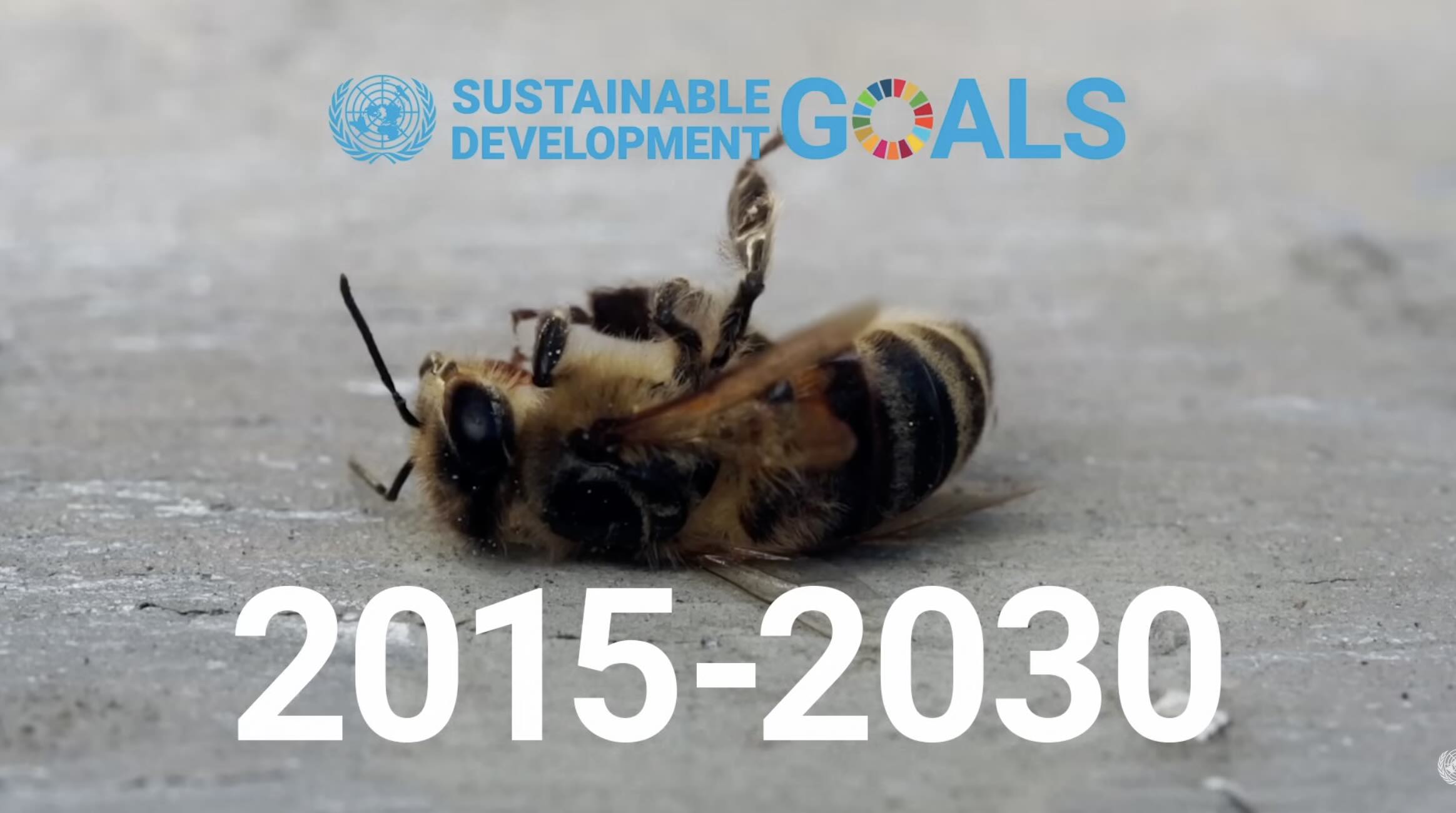 SDG
